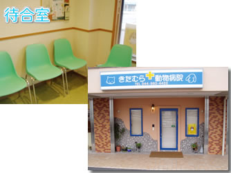 ނ瓮a@ OρEҍ