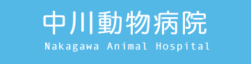 쓮a@@s